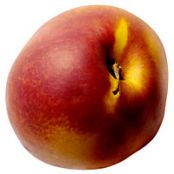 Nectarine Custard Pie