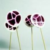Beetroot and Yogurt Lollipop