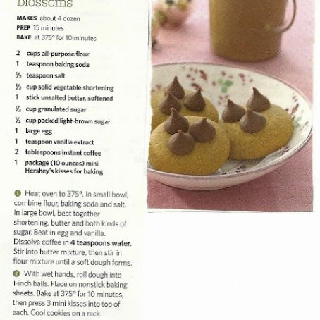 CAPPUPUCCINO BLOSSUMS