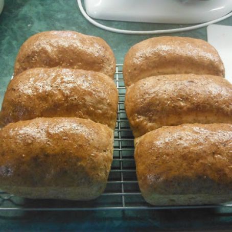 60% Whole Wheat Grain Bread