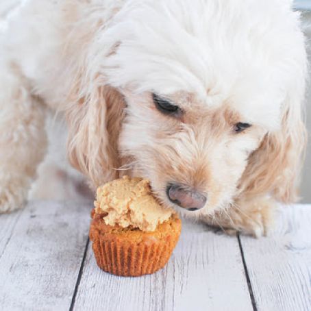 Peanut Butter Pupcakes (For Dogs)