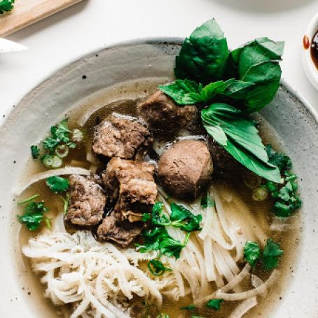 BEEF RIB PHO RECIPE