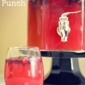 Cranberry Vodka Punch