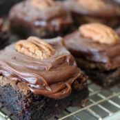 Southern Lady Brownies