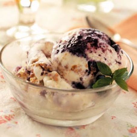 Blueberry Ice Cream