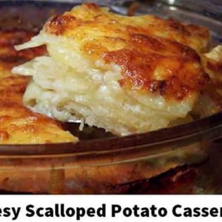 Easy & Delicious Cheesy Scalloped Potato Casserole!