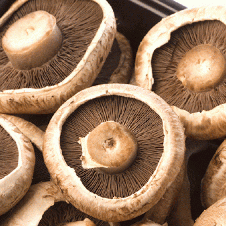 Jorge Cruise's Portobello Pizzas