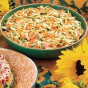 2002 Zucchini Slaw