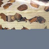 Peanut Butter Brownie Trifle