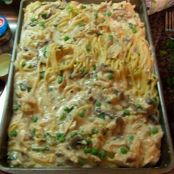 Chicken Tetrezzini***