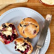 Blueberry Muffins (Martha Stewart's)