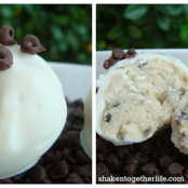 Chocolate Chip Cookie Dough - no bake!