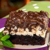 Mississippi Mud Cake