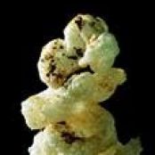 Puffed Cuttlefish Roe