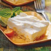 Tropical Frozen Yogurt Dessert