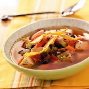 TORTILLA-VEGETABLE CHICKEN SOUP