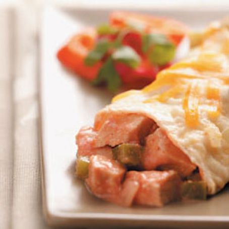 2009 Turkey Enchiladas