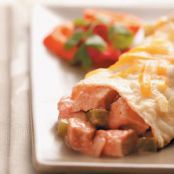 2009 Turkey Enchiladas
