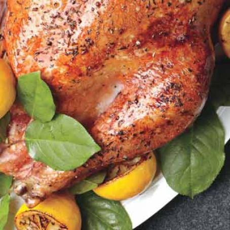 Kiss-of-Lemon Roast Turkey