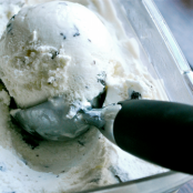 Mint-Chocolate Chip Ice Cream