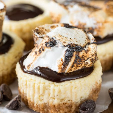 Mini S'mores Cheesecakes
