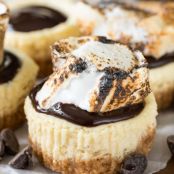 Mini S'mores Cheesecakes