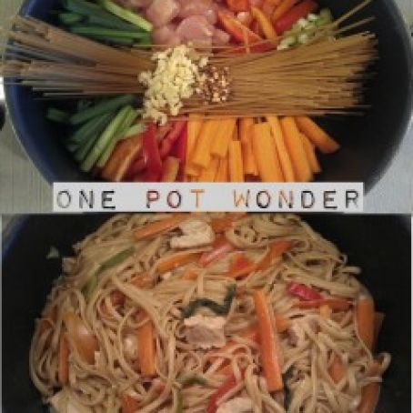 One Pot Wonder - Chicken Low Mein