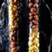 Caramelized Fried Corn and Freeze-Dried Corn