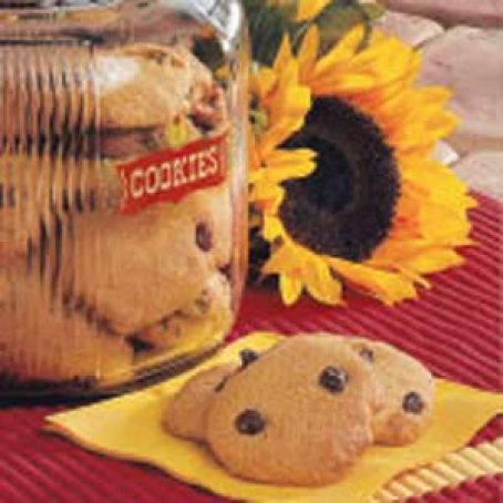 2002 Chocolate Chip Cookies