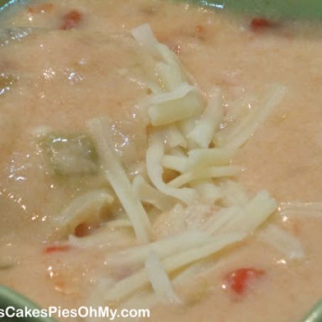 Monterey Jack Cheese Soup