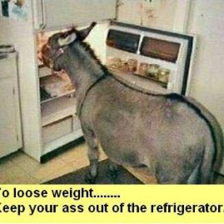 Ultimate Chocolate Truffles