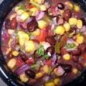 Salsa.. Kris Smith's wife's mild salsa dip