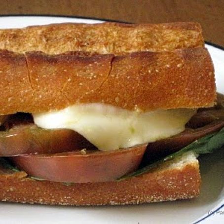 Tomato, Mozzarella and Basil Panini