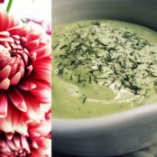 :Creamy, Tangy Avocado Dressing