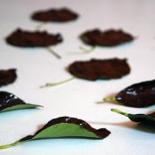 ***Chocolate Leaves