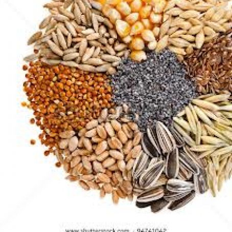 7 Sprouted Grains and Seeds cereal