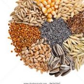 7 Sprouted Grains and Seeds cereal