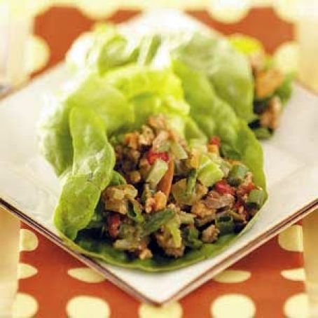 Asian Turkey Lettuce Wraps