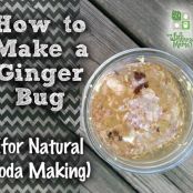 How to Make a Ginger Bug