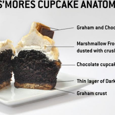 S’mores Cupcakes