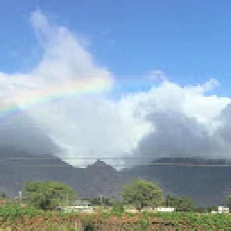 Sun-Dried Tomato Dip