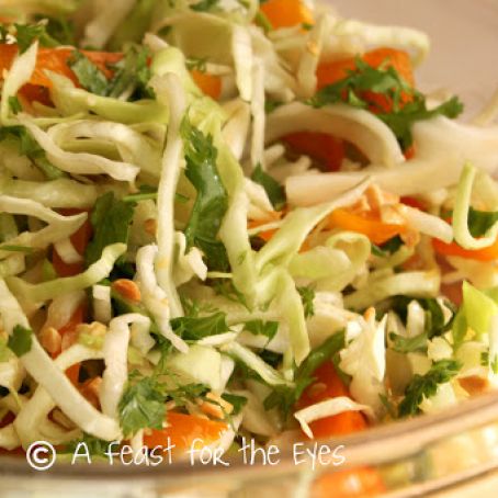 Asian Style Slaw