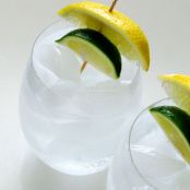 Gin & Tonic