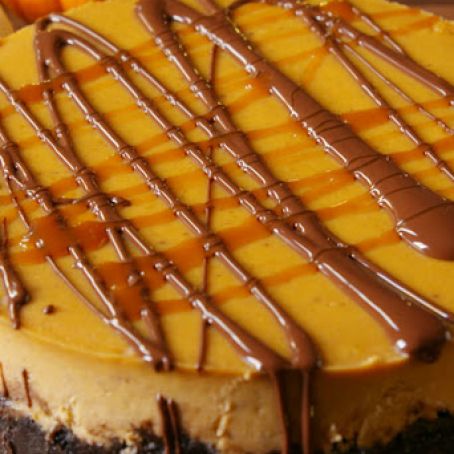 Chocolate Pumpkin Cheesecake