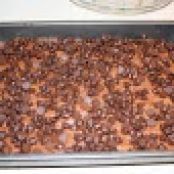 Chocolate Chip Pudding Cake