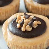 Chocolate Peanut Butter Mini Cheesecakes