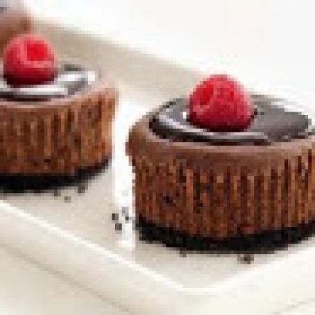 Mini Chocolate Cheesecakes