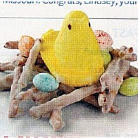 Easter - Bird Nests