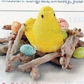 Easter - Bird Nests