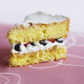 CAKE - Sponge Cake